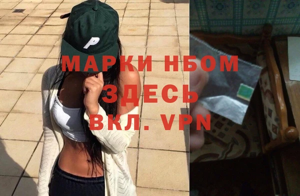 сатива Нефтекумск