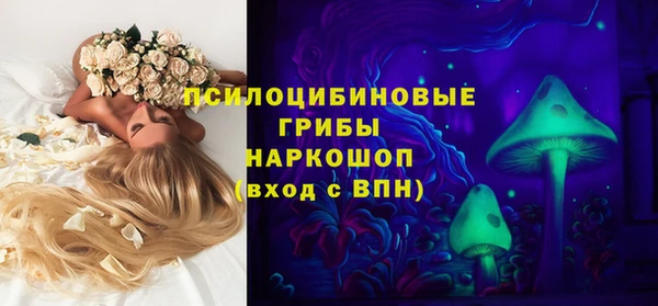 гидра Михайлов