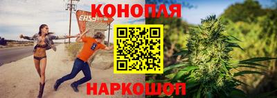 прущие крисы Гатчина