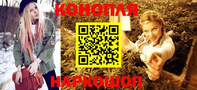прущие крисы Гатчина