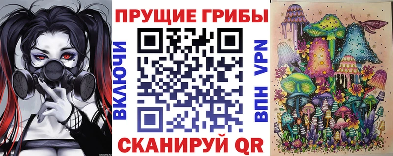 мега ссылки  Избербаш  Псилоцибиновые грибы GOLDEN TEACHER 