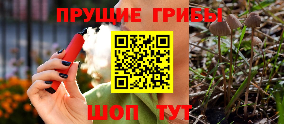 Галлюциногенные грибы Magic Shrooms Избербаш