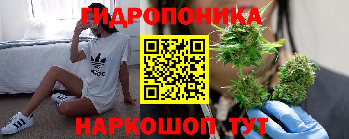 Каннабис индика  Марихуана Bruce Banner  Избербаш  Вход с VPN  Конопля конопля  Бошки Шишки Amnesia 